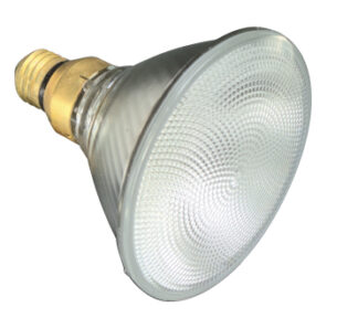 PAR38 HALOGEN REFLECTOR LAMP (282259)