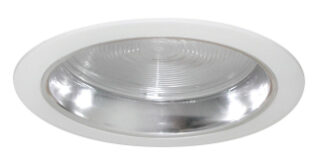 CLEAR ALZAK REFLECTOR WITH FREZNEL LENS 6" TRIM (617184)