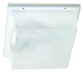 COMPACT FLUORESCENT CEILING FIXTURE (671821)