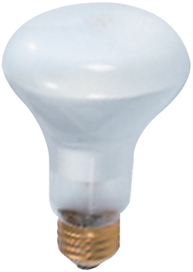 R20 INCANDESCENT REFLECTOR LAMP (681500)